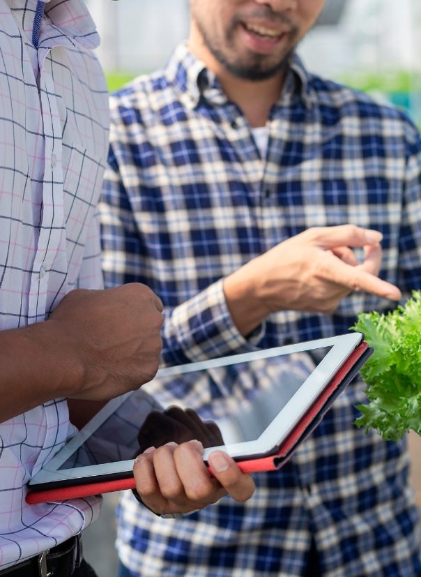 Grower reviewing data on a tablet
