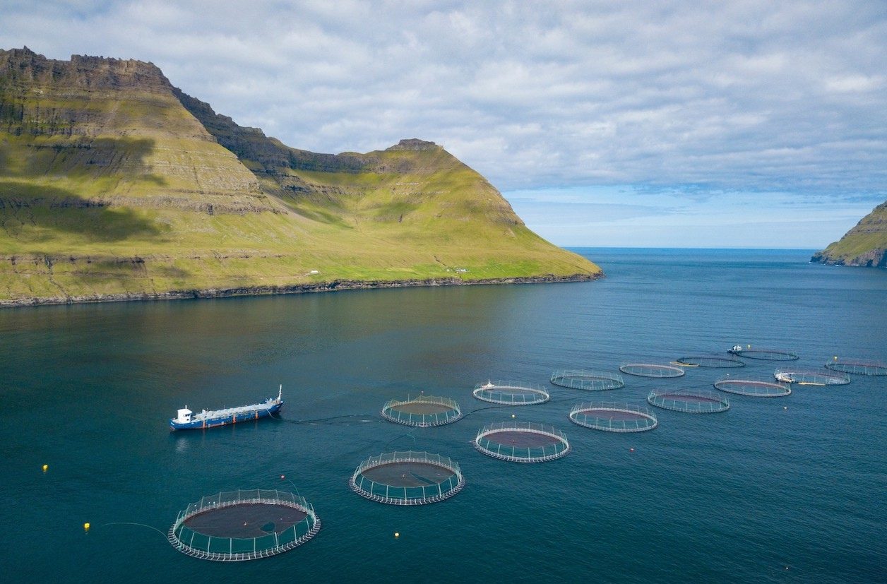 Salmon sea cages in a fjord seen from above