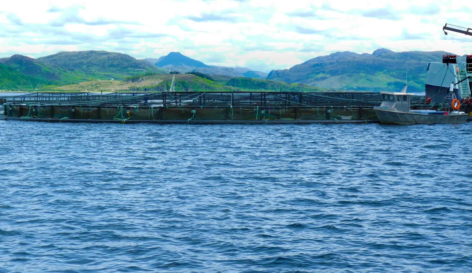 A row of steel-framed net pens on a fjord below green hills, with a workboat moored alongside
